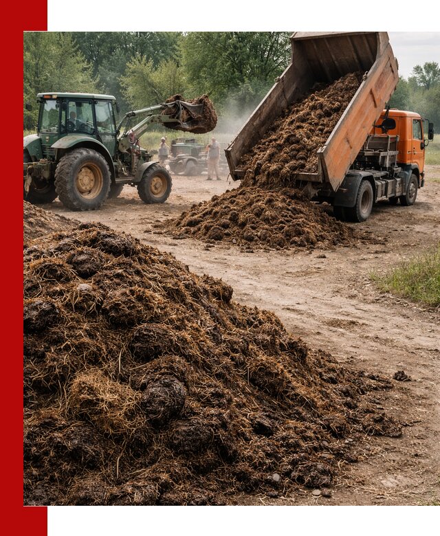 Доставка навоза самосвалами в Таре для сельхозпотребностей